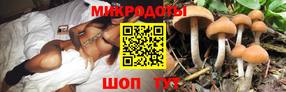Псилоцибиновые грибы GOLDEN TEACHER Кириши